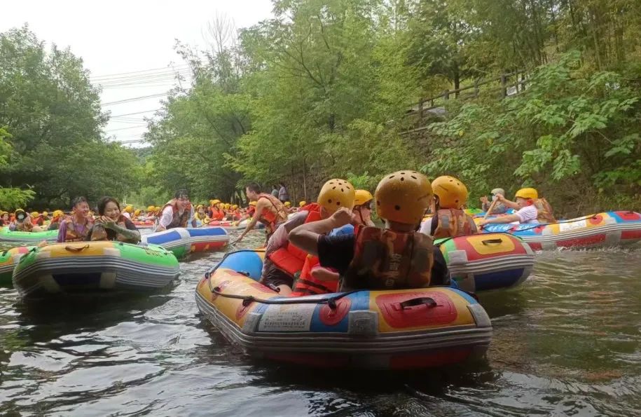 52d02e5f4df6f1dfa8dbbc08ea94ec47