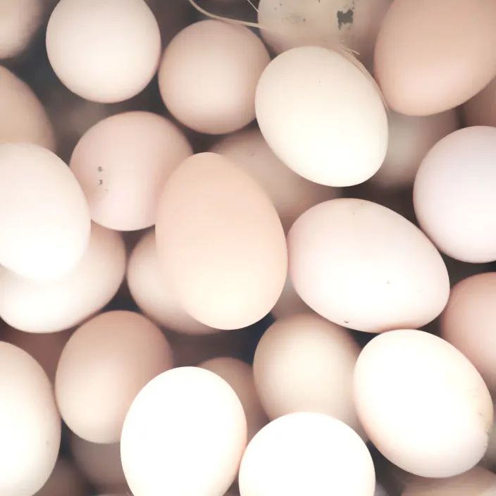 024d6a6b634aac653f78c4b7306adacc