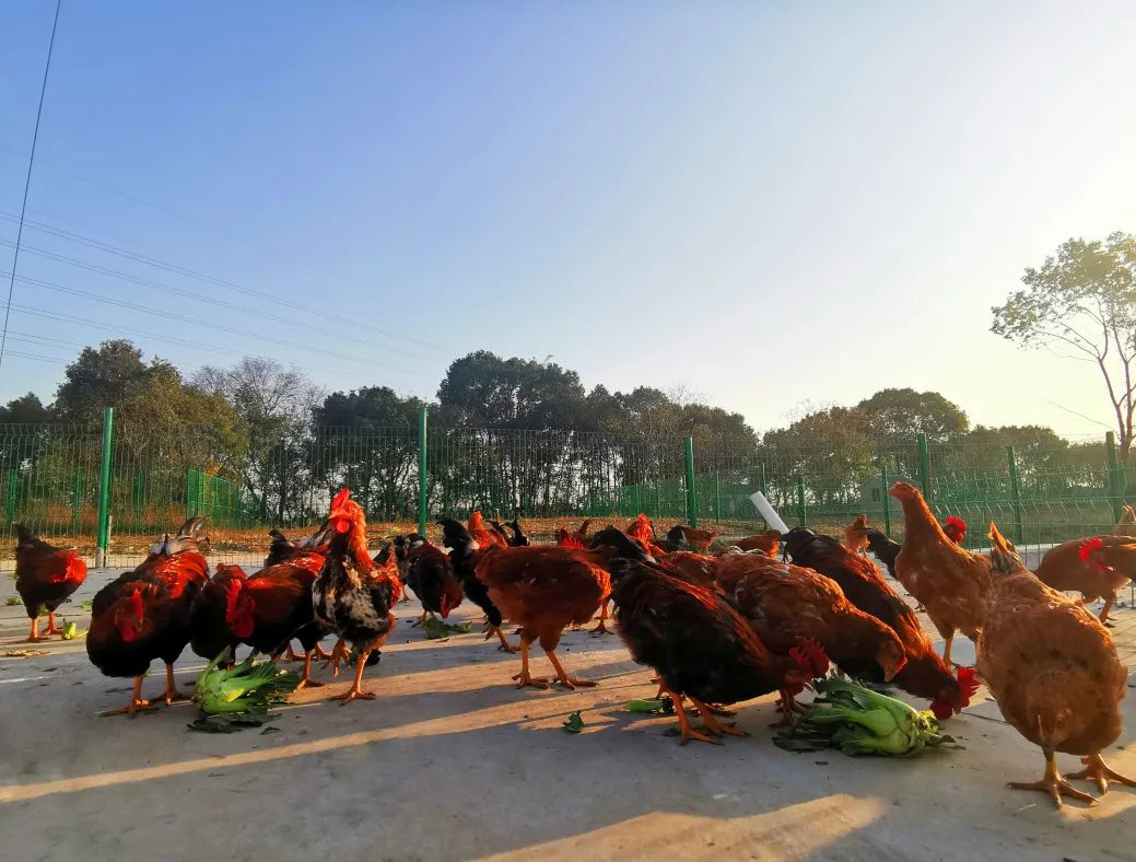 140d4efc08e2b2a4d915663f724b83f9