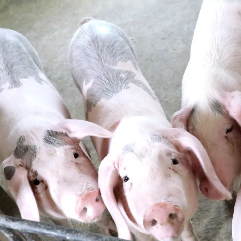 3730c75997477466447665b6598ccfae